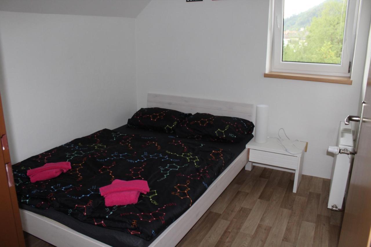 Apartman Rapotin, Jesenicka 296, 3Km Od Termalniho Parku Velke Losiny Extérieur photo